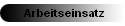 Arbeitseinsatz     