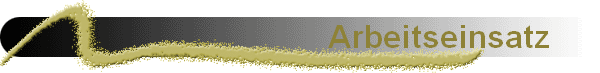 Arbeitseinsatz     