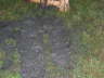 DSCN2292