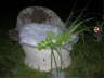 DSCN3340 Mittlere Webansicht Standard-E-Mail-Ansicht