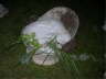DSCN3342 Mittlere Webansicht Standard-E-Mail-Ansicht