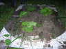 DSCN3349 Mittlere Webansicht Standard-E-Mail-Ansicht