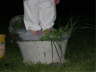 DSCN3360 Mittlere Webansicht Standard-E-Mail-Ansicht