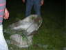 DSCN3382 Mittlere Webansicht Standard-E-Mail-Ansicht